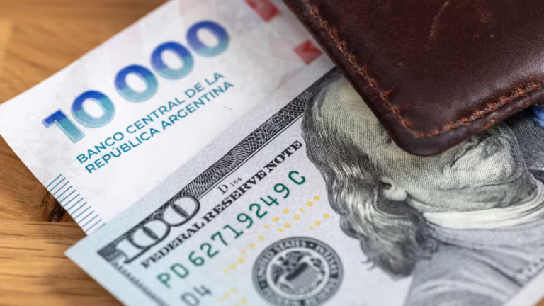 Se renueva el cupo para acceder al dólar oficial: quiénes pueden comprar US$200 en febrero